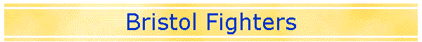 Bristol Fighters