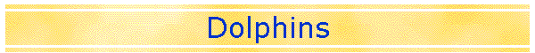 Dolphins