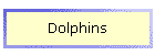 Dolphins