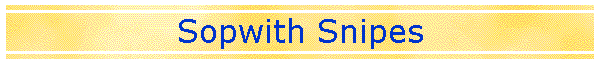 Sopwith Snipes